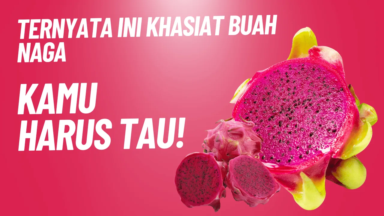 MANFAAT BUAH NAGA IBU HAMIL DIET